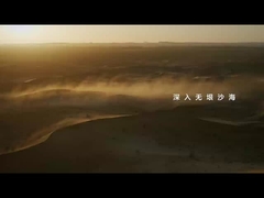 बालू में तेंदुए 5