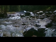 पानी में तेंदुए 5