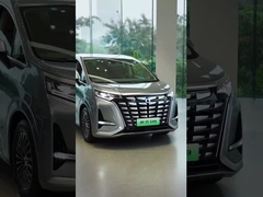 टेंगशी डी9