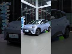 गंगा-चिल्ली