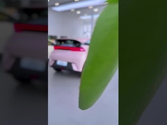 गंगा-चिल्ली