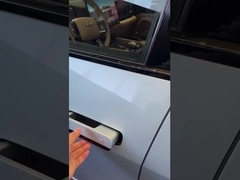 तेंदुआ 8